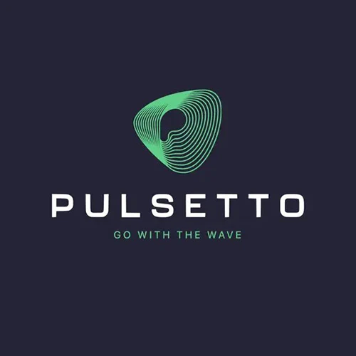 Pulsetto Vagus Nerve Stimulator